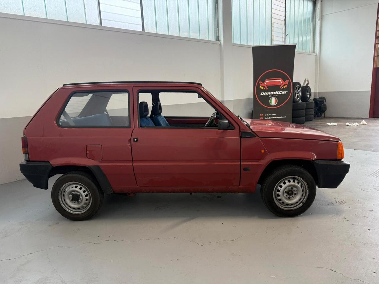 Fiat Panda 1100 i.e. cat Young