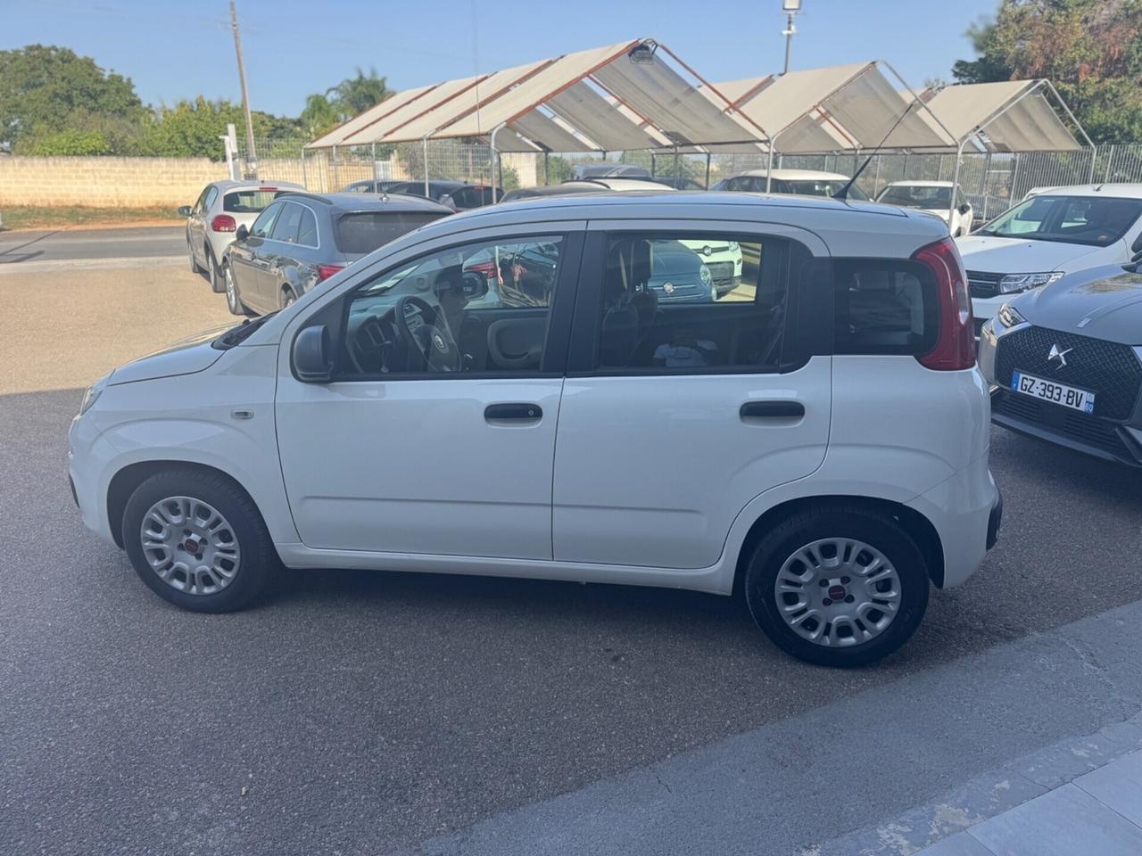 Fiat Panda 1.2 Easy clima stereo 5 posti