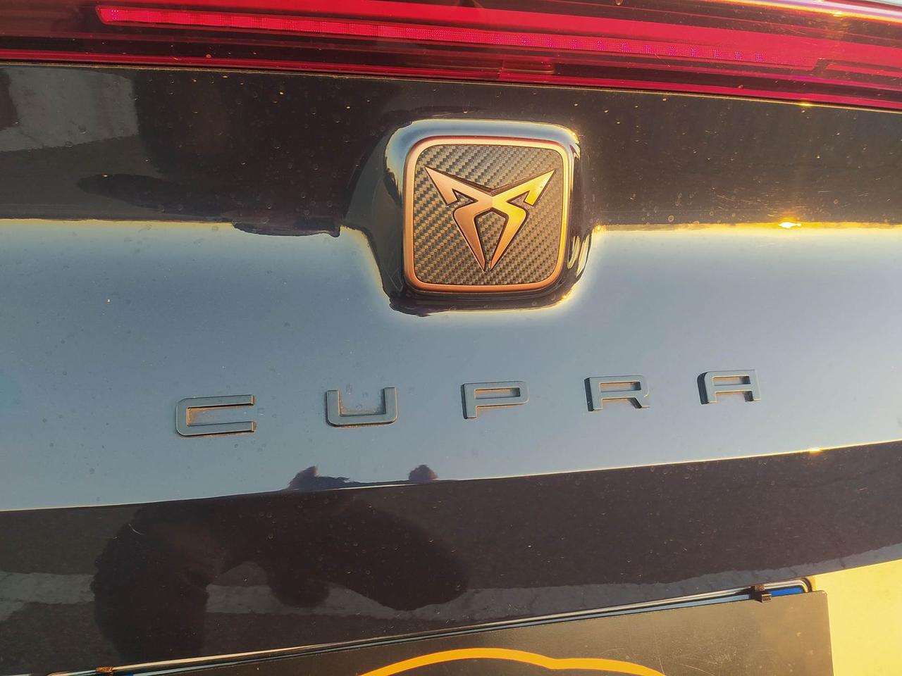 Cupra Formentor Tribe Edition 2.0 TDI #8281