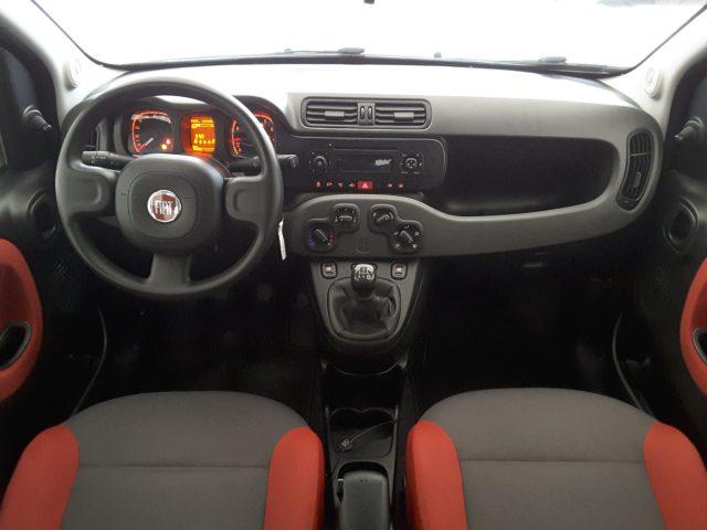 FIAT Panda 1.2 Easy *EURO 6*OMOLOGAZIONE 5 POSTI*