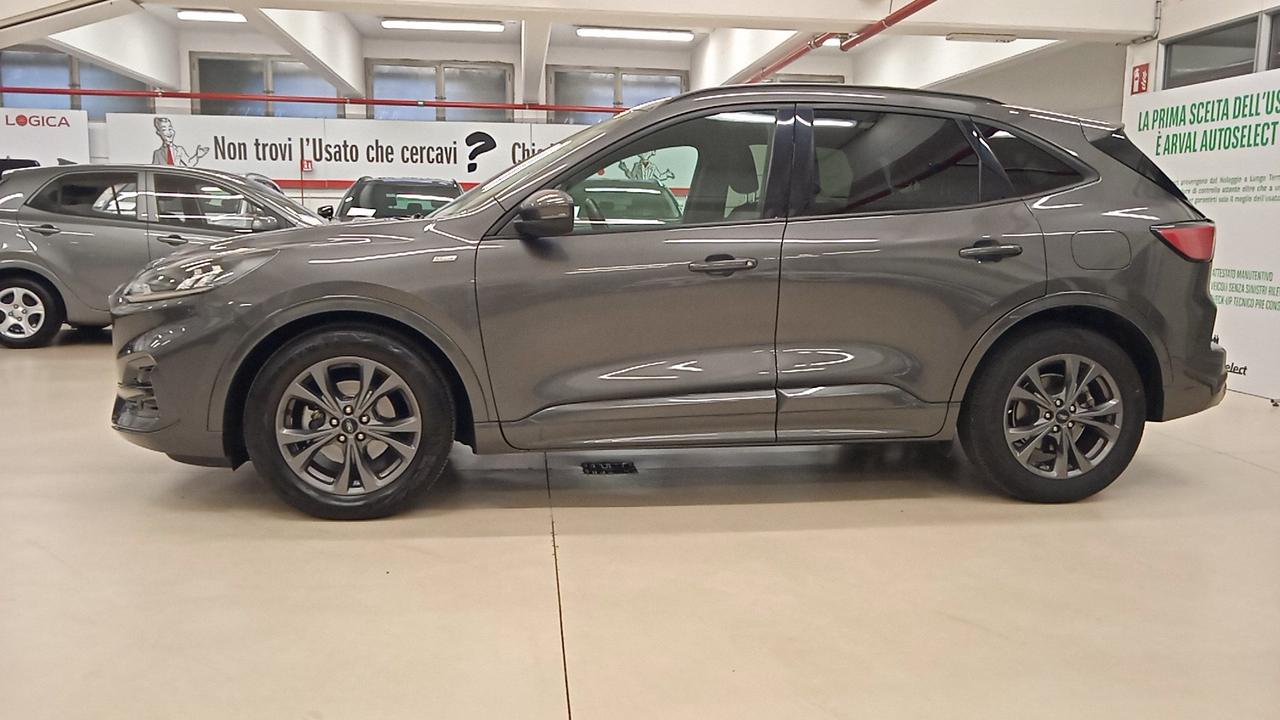 FORD Kuga 1.5 ecoblue ST-Line 2wd 120cv
