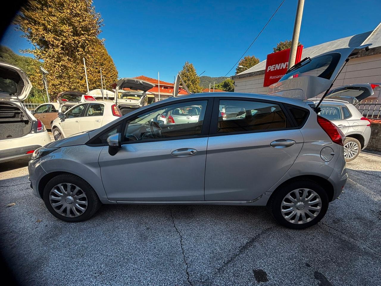 Ford Fiesta 1.4 5 porte Bz.- GPL Black & White Edition