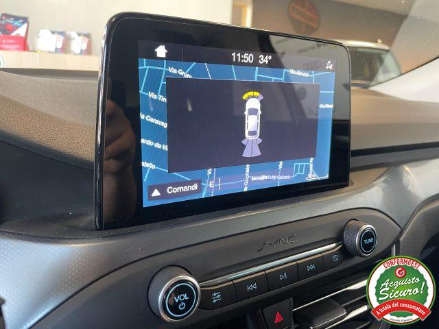 FORD Focus 1.5 EcoBlue 120 CV 5p. Active