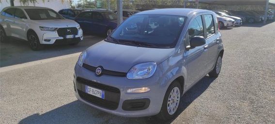 FIAT Panda 3ª serie 1.0 FireFly S&S Hybrid