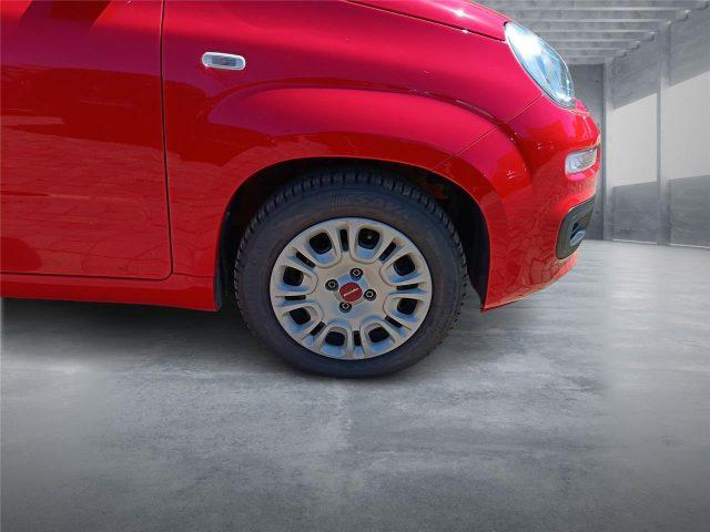 FIAT Panda 3ª serie 1.0 FireFly S&S Hybrid