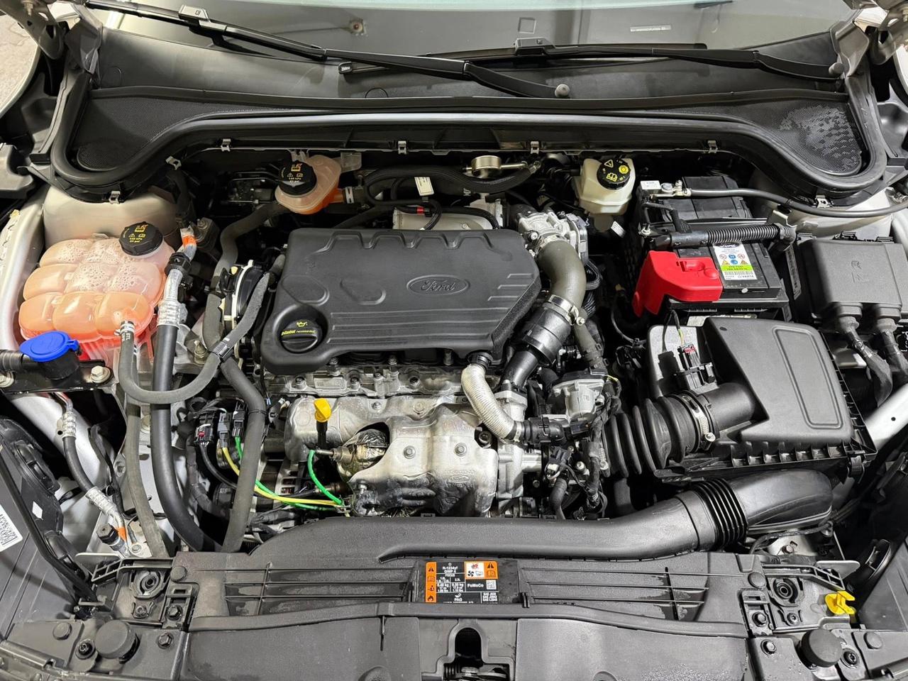 Ford Focus 1.5 EcoBlue 120 CV SW Business