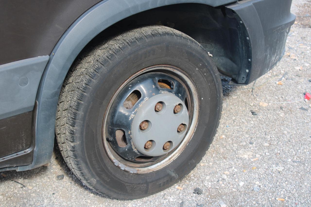 Iveco Daily 35C17LV BTor 3.0Y TASPORTO CAVALLI