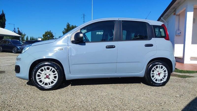 FIAT Panda Panda 1.2 Easy