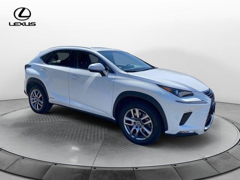 Lexus NX Hybrid 4WD Business