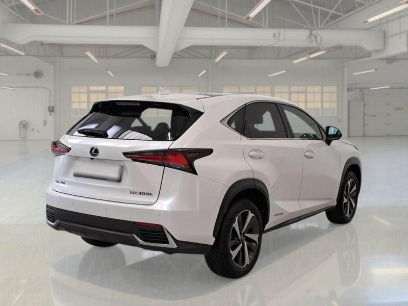 Lexus NX 300 300 2.5 Hybrid Luxury 4WD CVT