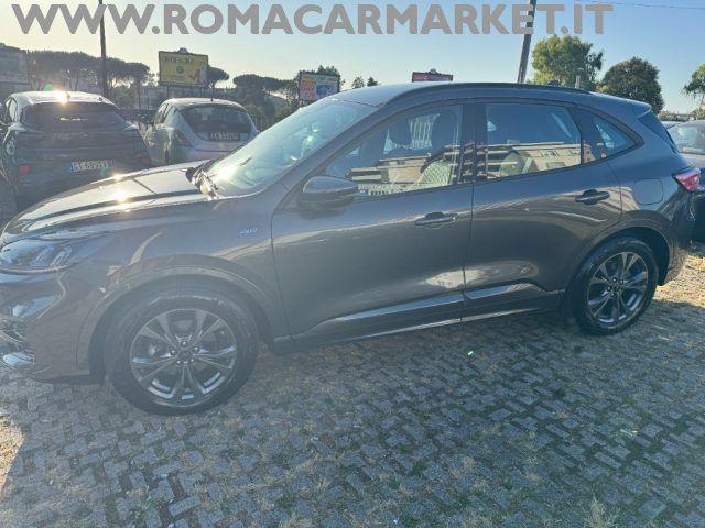 FORD Kuga 1.5 EcoBlue 120 CV aut. ST-Line KM CERTIFICATI