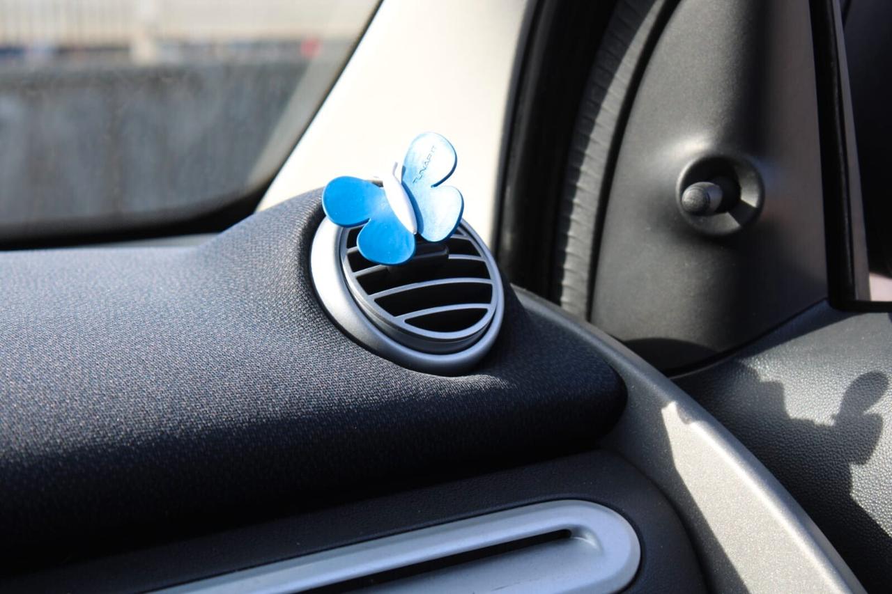 Smart ForTwo Tua A SOLI 90€ al mese Anticipo Zero