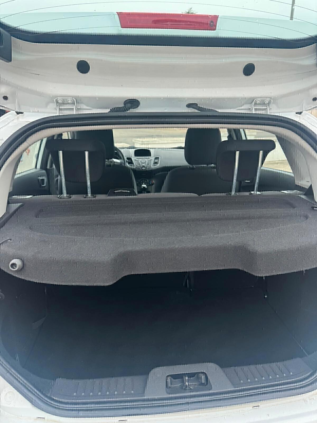 Ford Fiesta 1.4 5 porte Bz.- GPL Black & White Edition