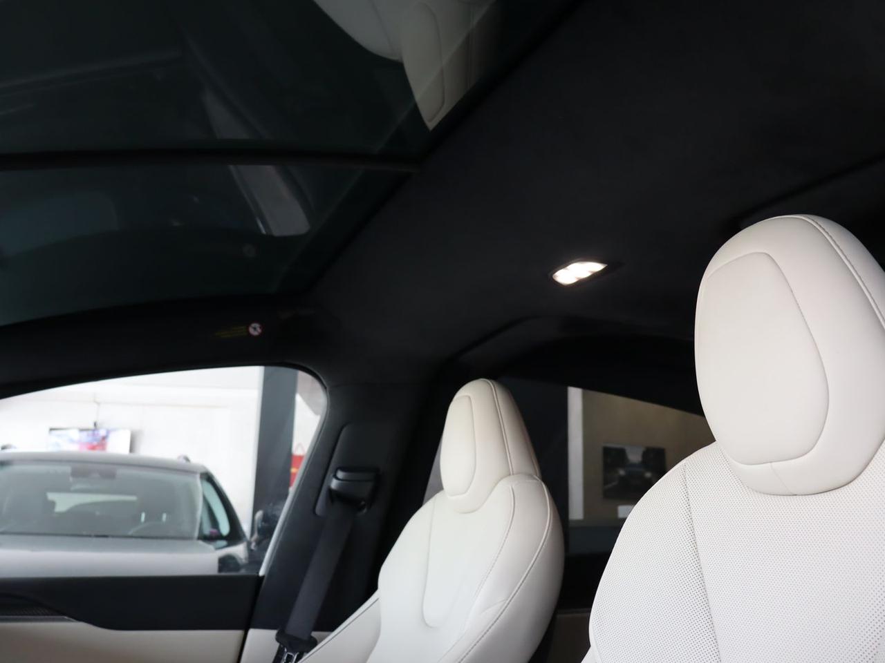 Tesla Model X Plaid #11739