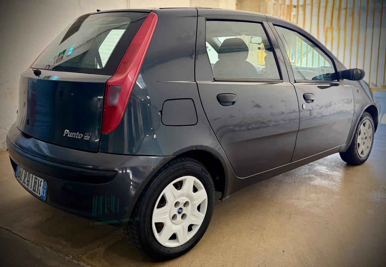 Fiat Punto 1.2i cat 5 porte Verve