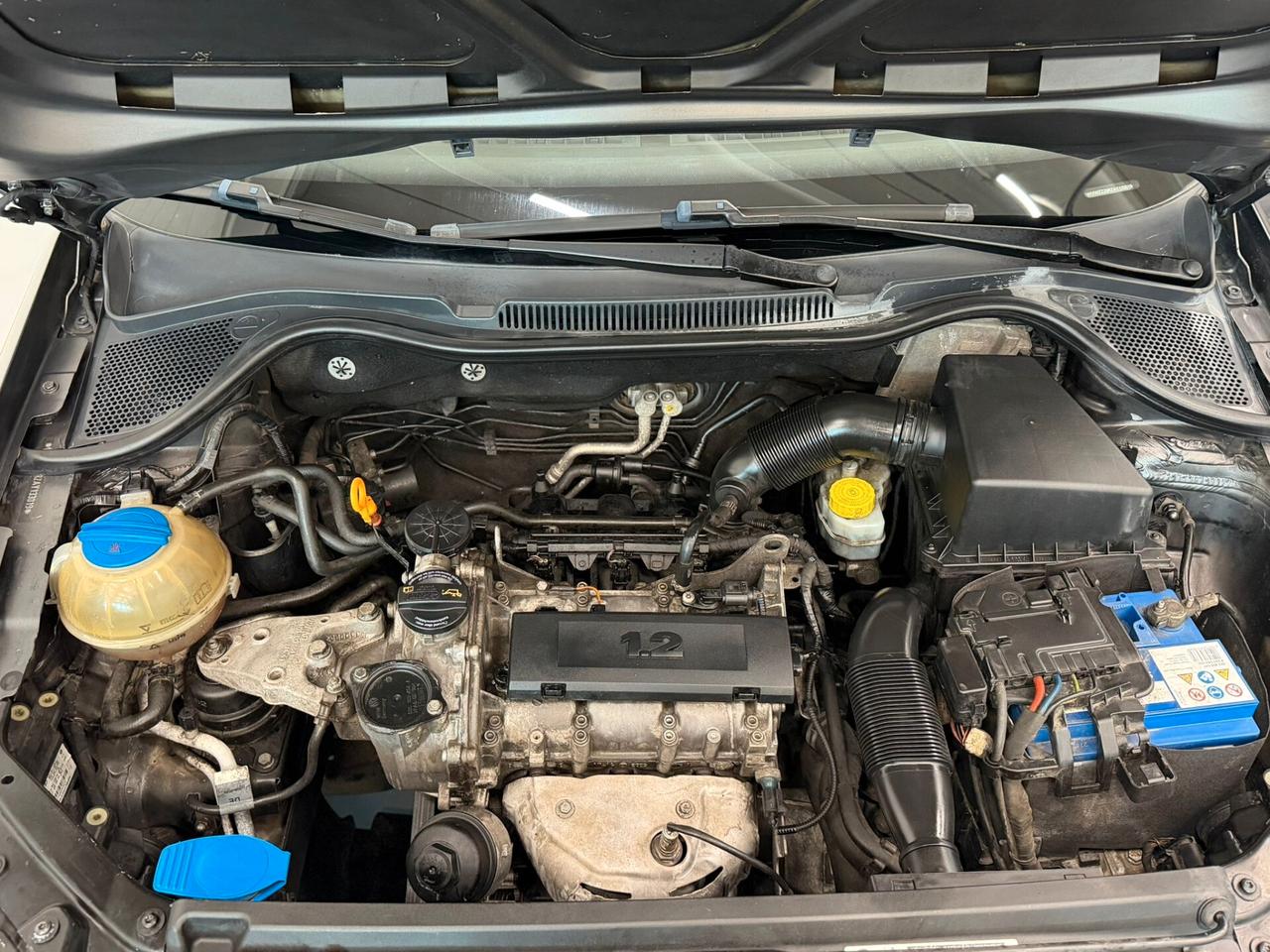 Volkswagen Polo 1.4 5 porte Comfortline