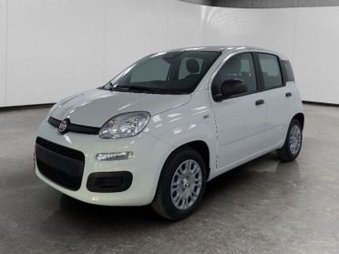 FIAT Pandina 1.0 firefly hybrid Icon s&s 70cv 5p.ti