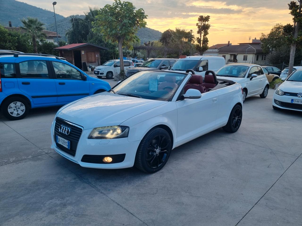 Audi A3 Cabrio 2.0 TDI F.AP. Ambition - 2009