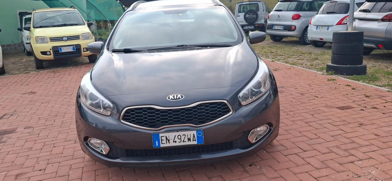 Kia Ceed cee'd 1.6 CRDi 128 CV aut. SW Platinum