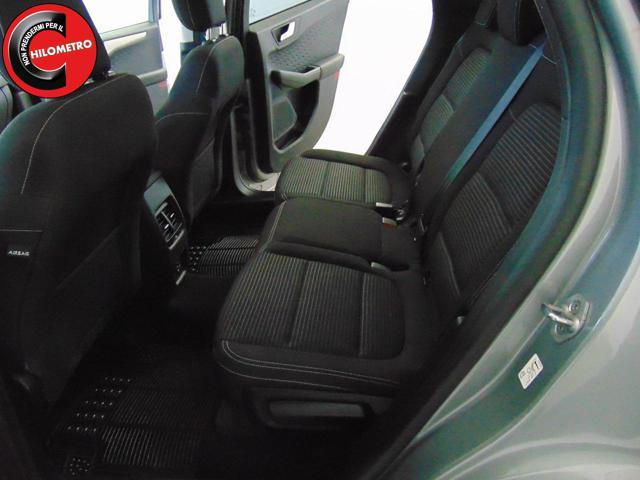 FORD Kuga 1.5 EcoBlue 120 CV 2WD Titanium