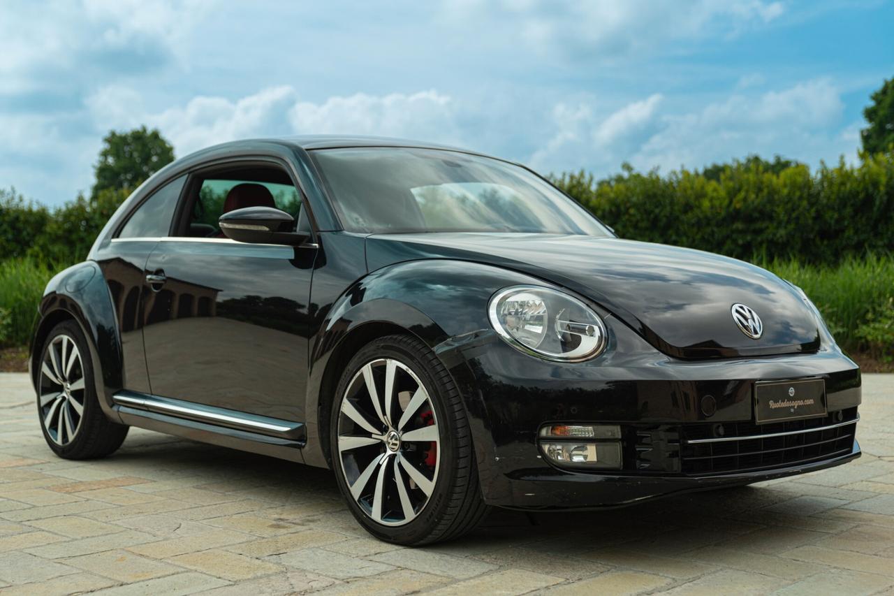 Volkswagen New Beetle - RDS01132