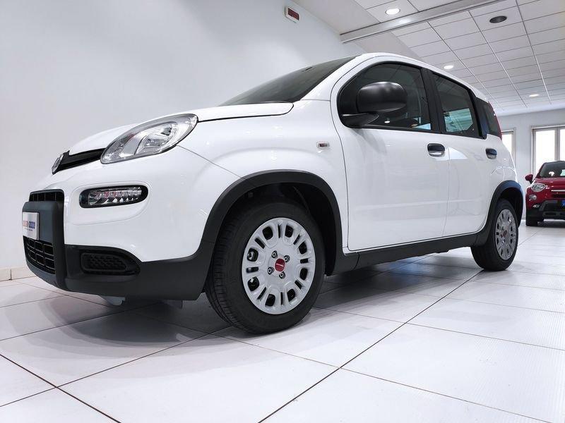 FIAT Panda 1.0 HYBRID*OCCASIONE*PRONTA CONSEGNA*