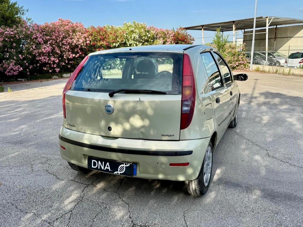 Fiat Punto Diesel 1.3 MJT con 87 milaKM Uniproprietà
