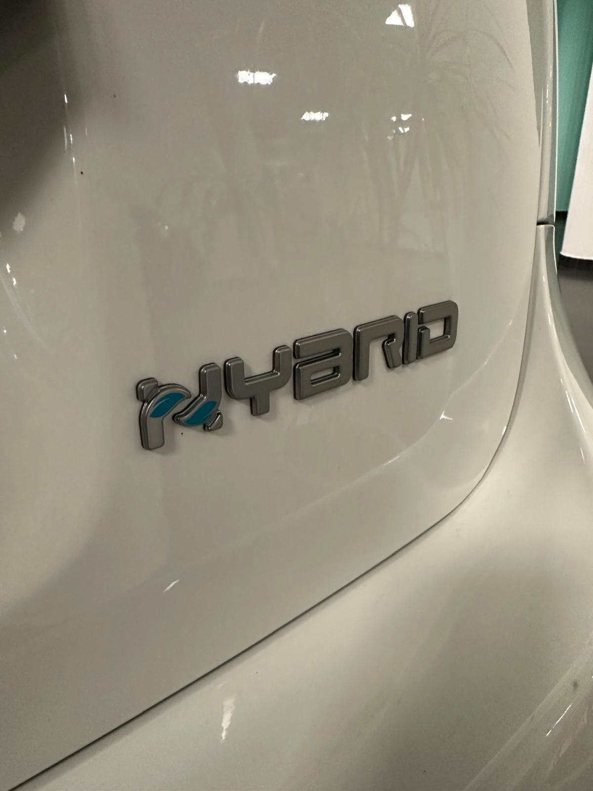 Fiat Panda 1.0 cross FireFly S&S Hybrid