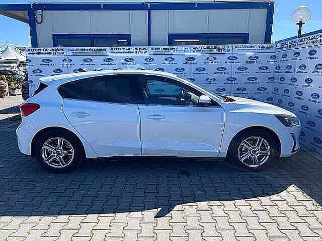 FORD Focus 1.0 EcoBoost 100 CV 5p. Business del 2020