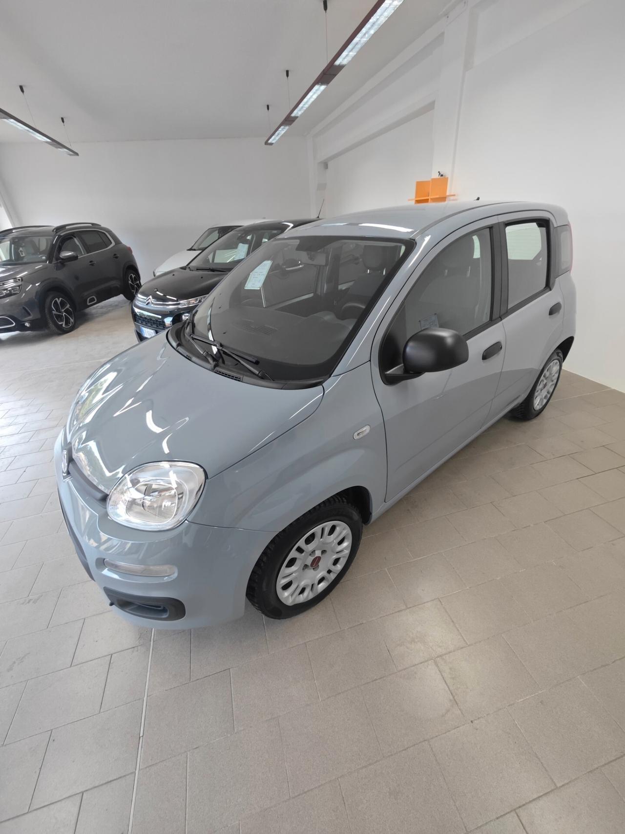 Fiat Panda 1.2 EasyPower Easy