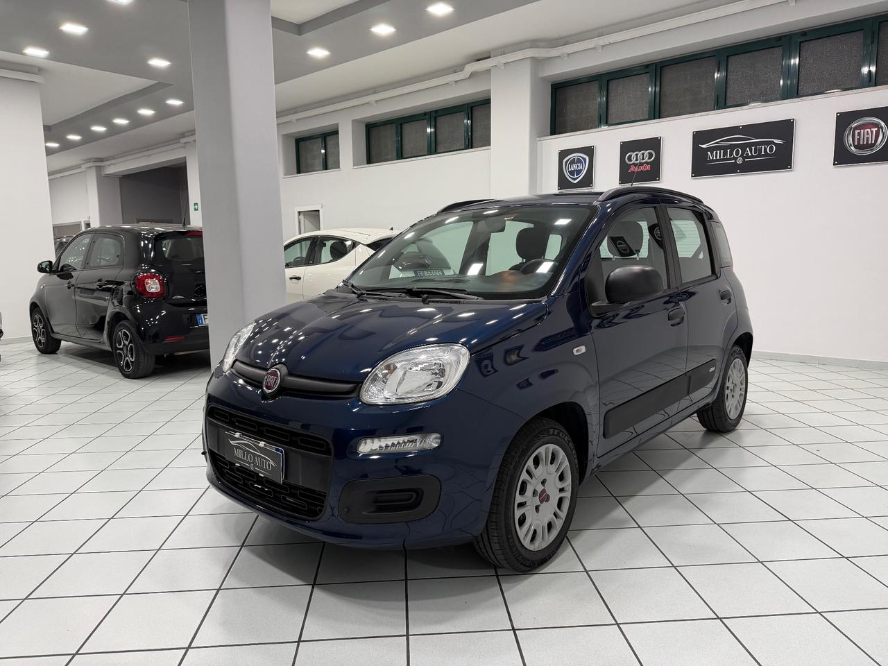 Fiat Panda 1.2cc 69cv Lounge UNICO PROPRIETARIO