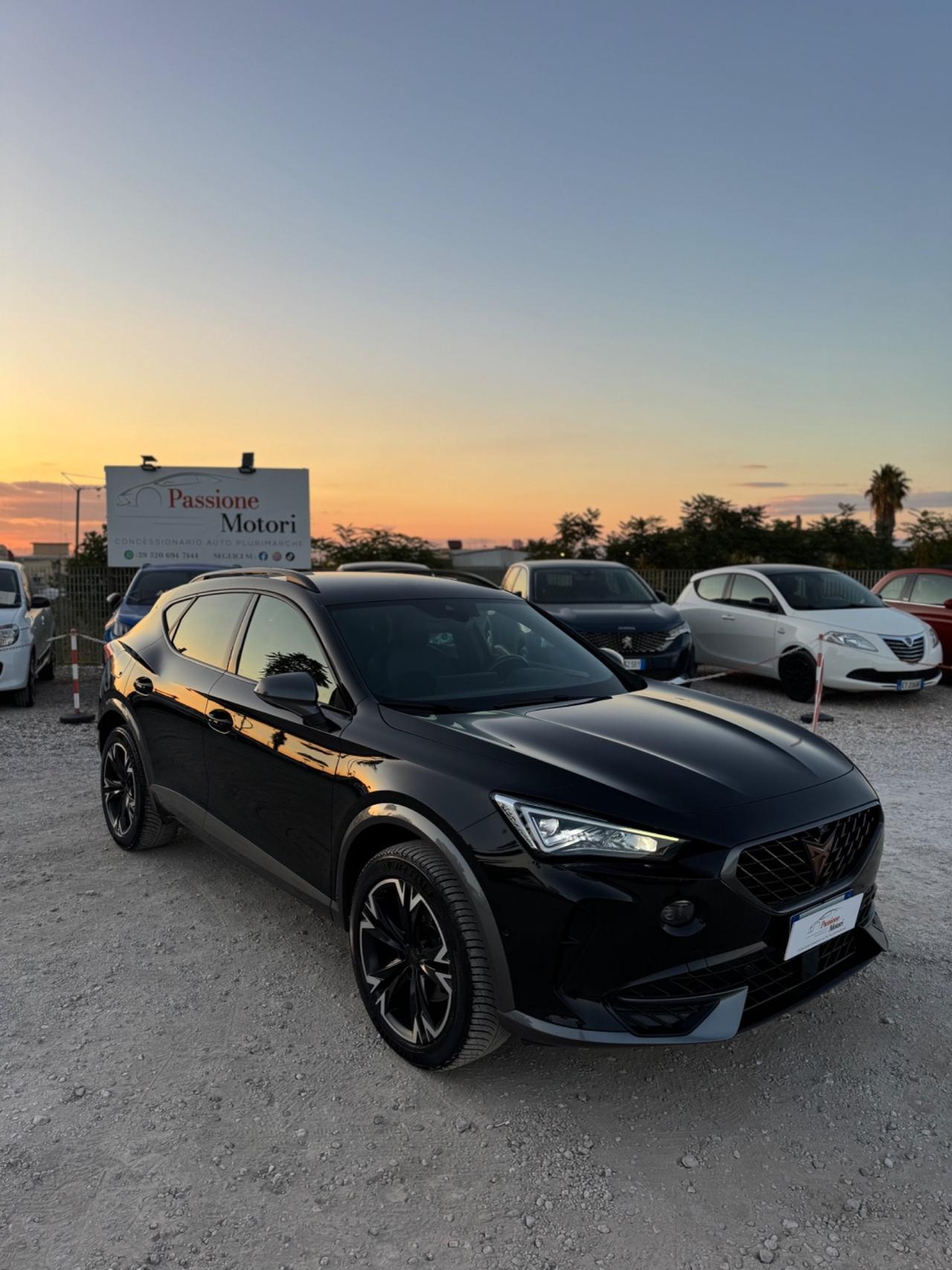 Cupra Formentor 2.0 TDI 4Drive DSG