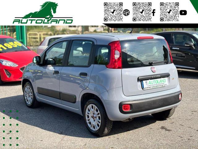 FIAT Panda 1.2 Easy OK NEO PATENTATI