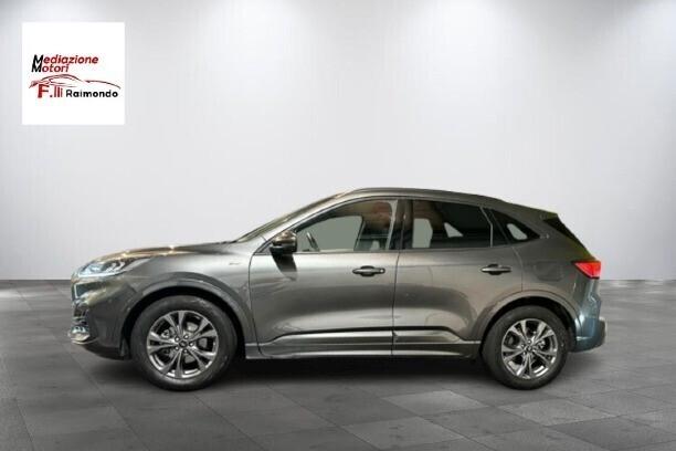 Ford Kuga 1.5 ecoblue ST-Line 2wd 120cv auto