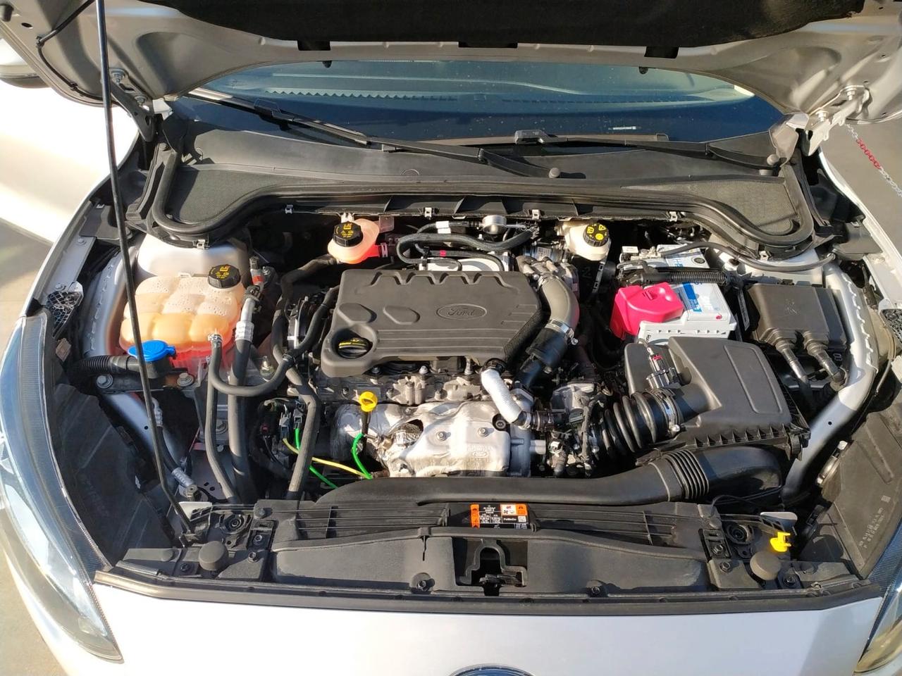 Ford Focus 1.5 EcoBlue 120 CV automatico SW Business Co-Pilot