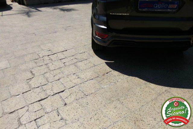 FORD EcoSport 1.5 Ecoblue 100 CV Start&Stop ST-Line