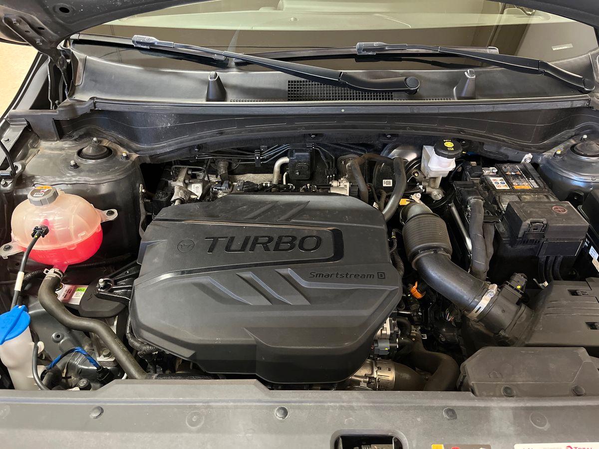 KIA Sportage 1.6 crdi mhev Business imt