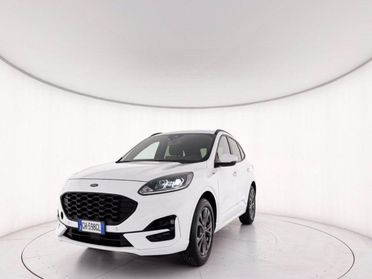 FORD Kuga 1 5 ecoblue st line 2wd 120cv auto