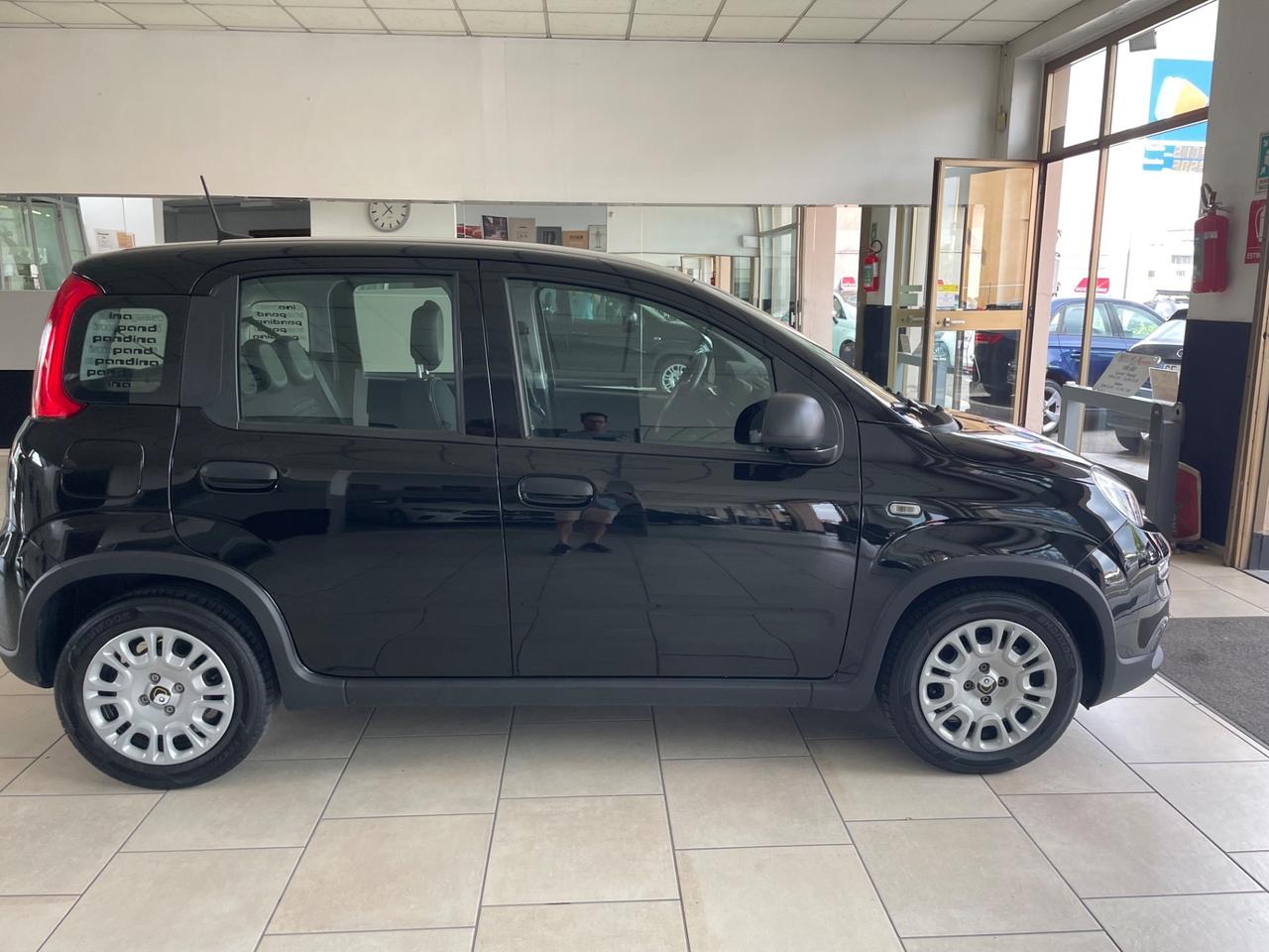 Fiat Panda 1.0 FireFly S&S Hybrid Pandina - Nessun vincolo -