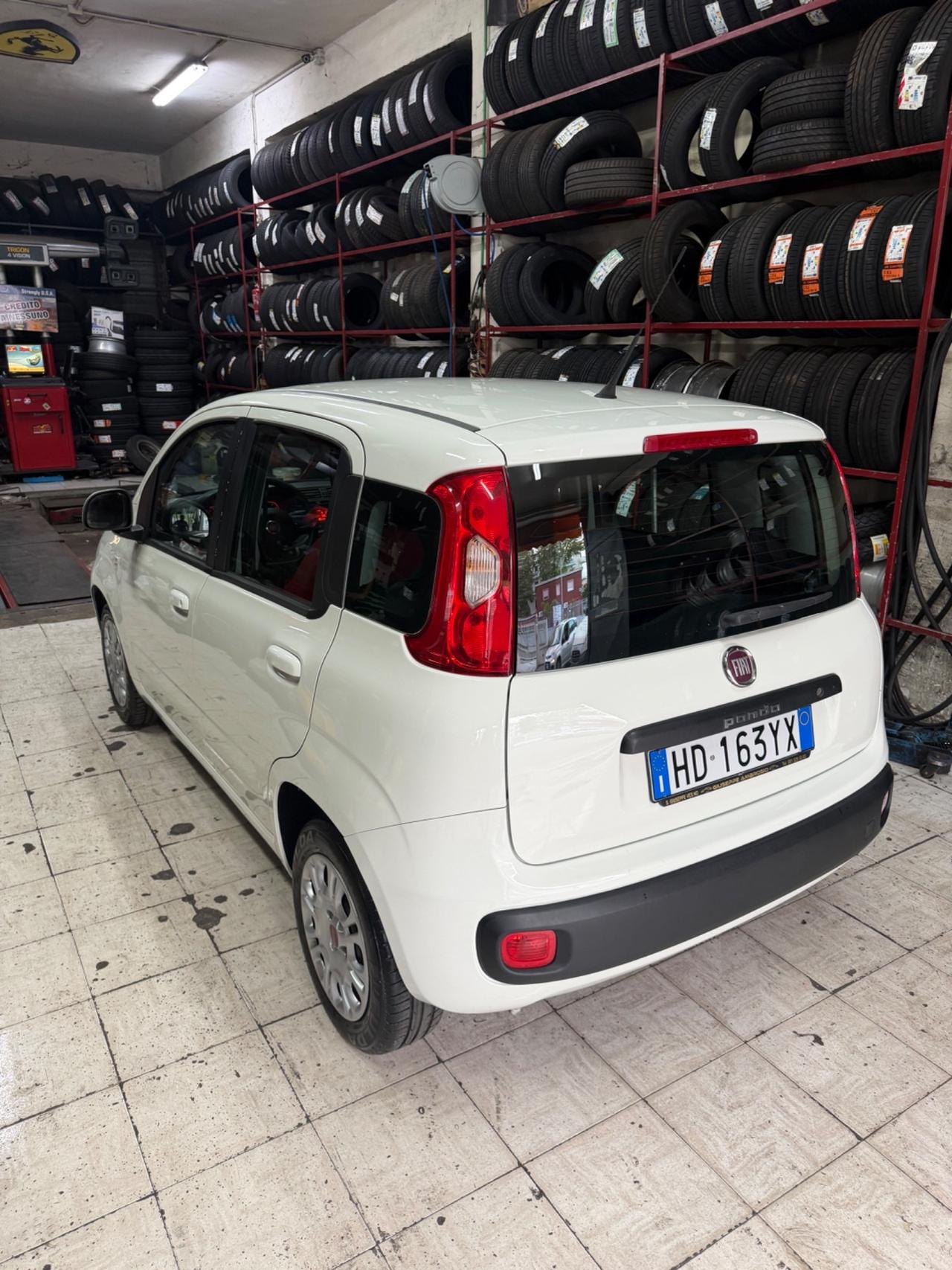 Fiat Panda 1.2 Easy 69 CAVALLI