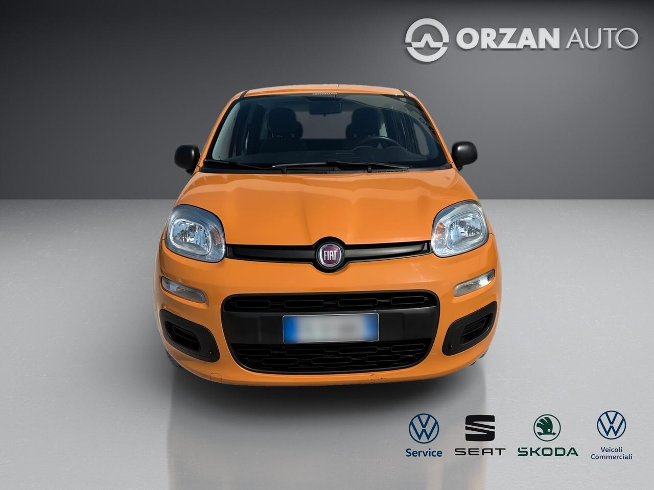 Fiat Panda 1.2 Easy VENDITE 3491558563 - 3478673115