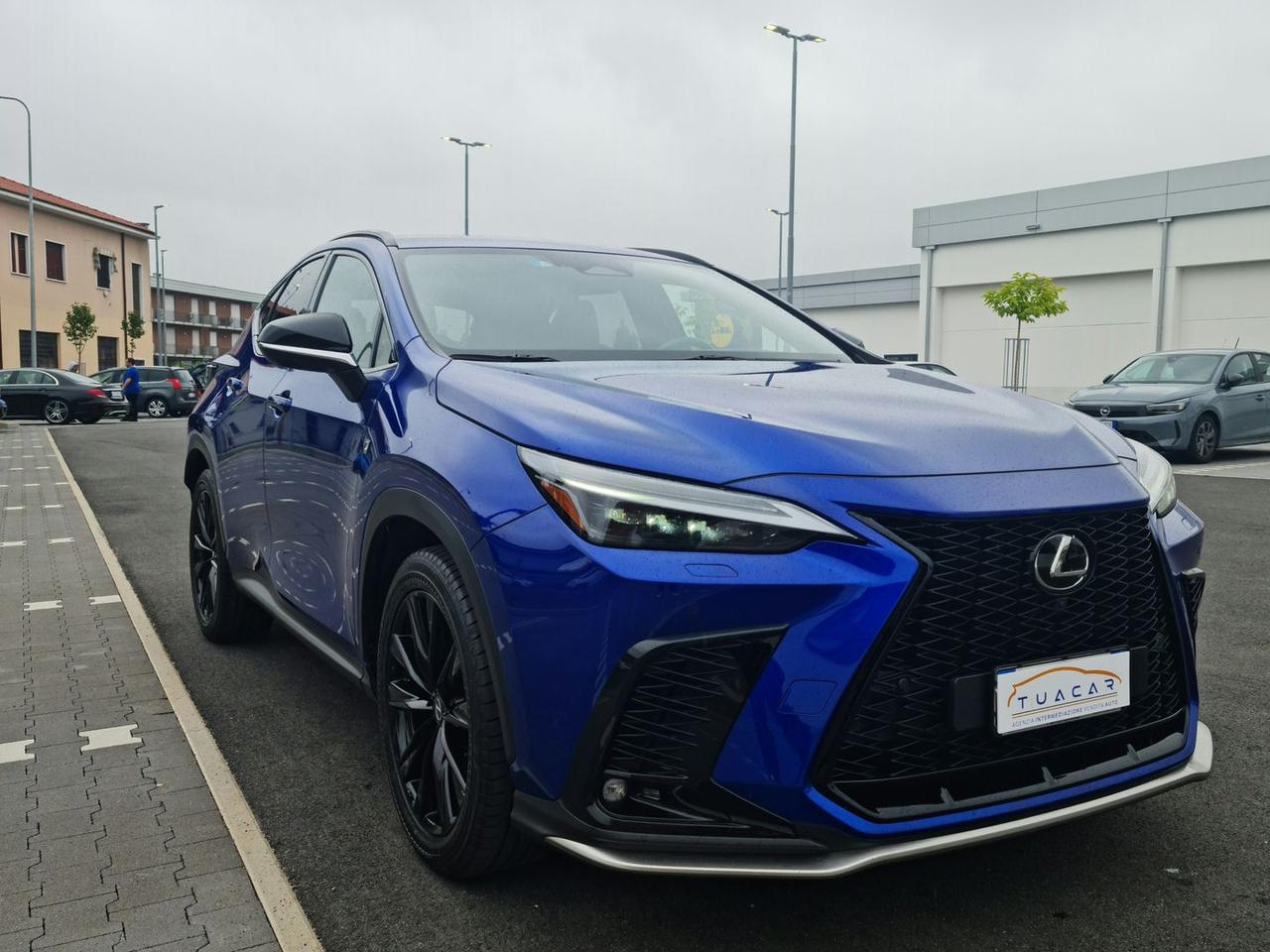 Lexus NX 350 h #6372