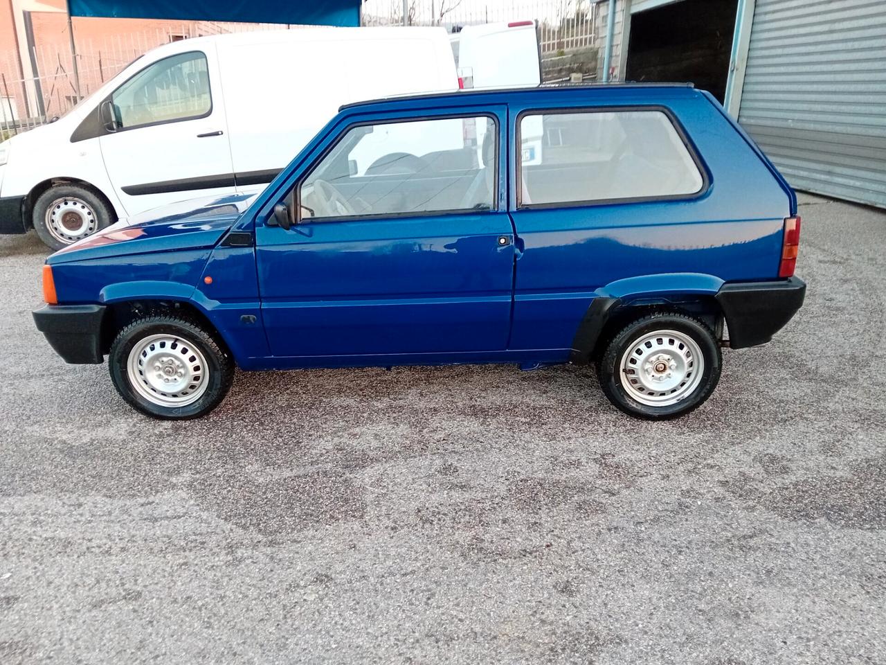 Fiat Panda 1100 i.e. cat Young