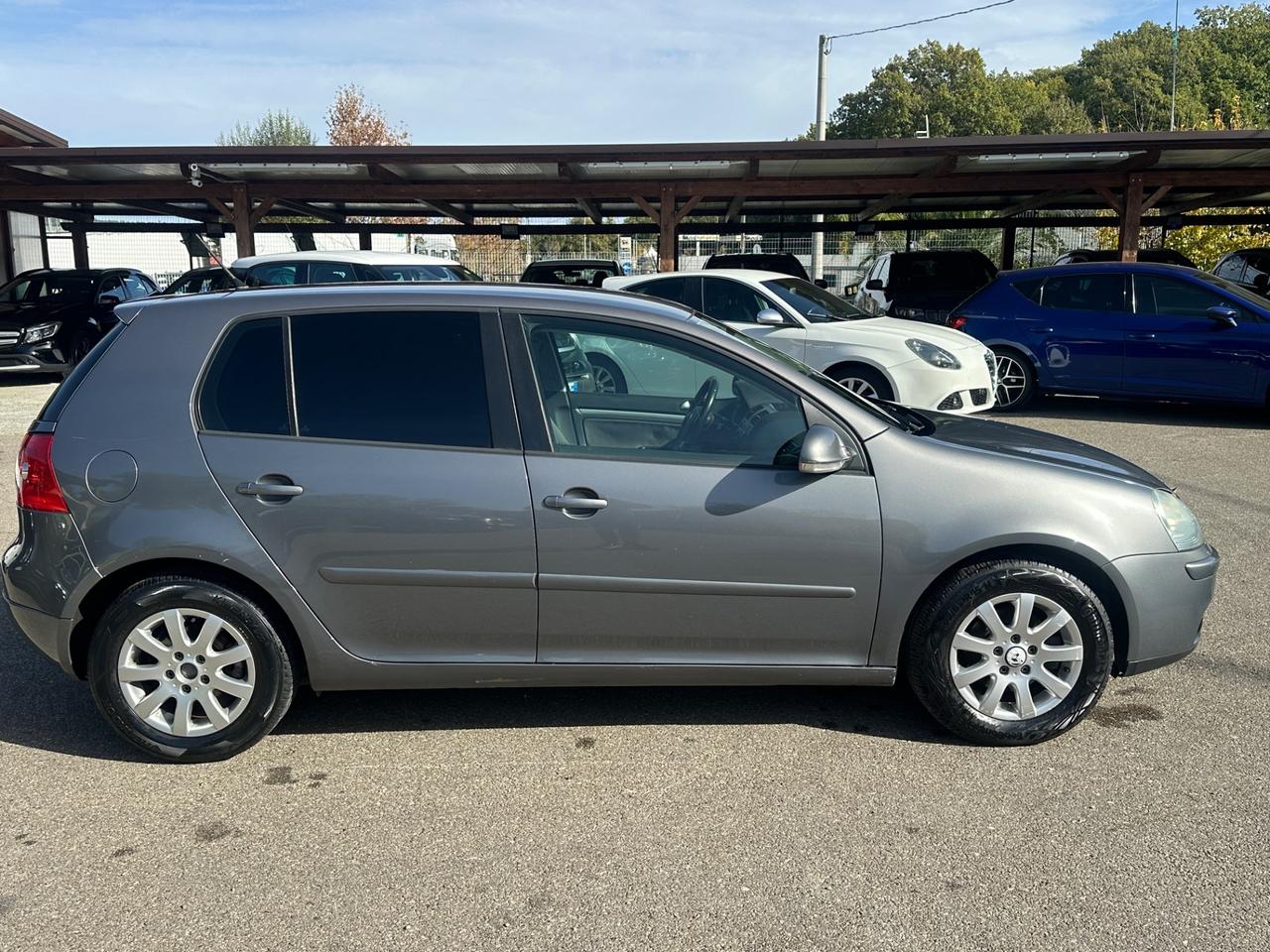 Volkswagen Golf 1.9 TDI 105 cv 5p. Goal