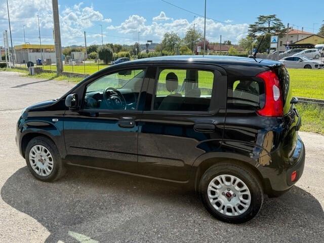 Fiat Panda 1.2 Easy 5 posti iva esposta