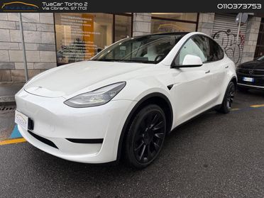 Tesla Model Y Standard Range / Standard #7392