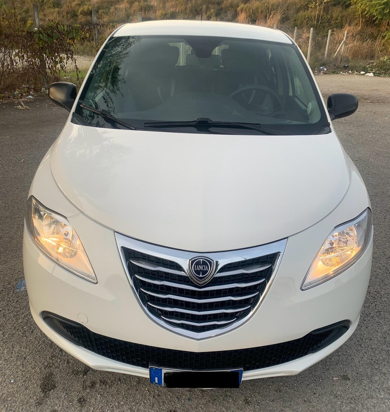Lancia Ypsilon 1.3 MJT 16V 95 CV 5 porte S&S Platinum