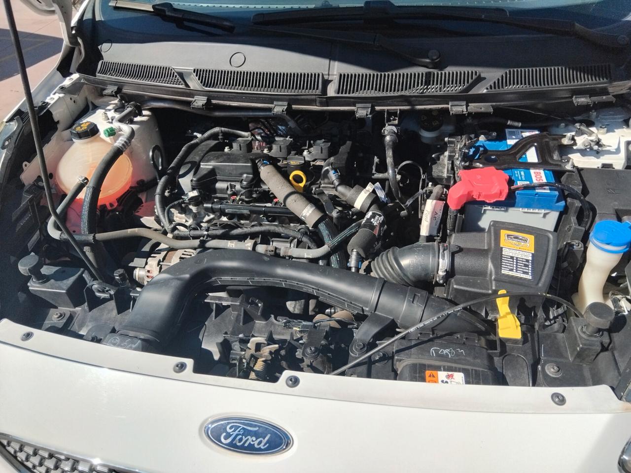 FORD KA 1.2 ANNO 2020 GARANZIA 12/24 MESI