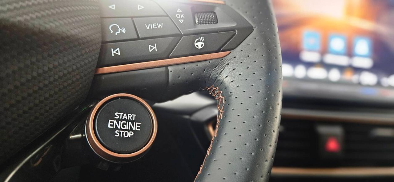 Cupra Leon 2.0 TDI 150 CV DSG Uff. Cupra Italia