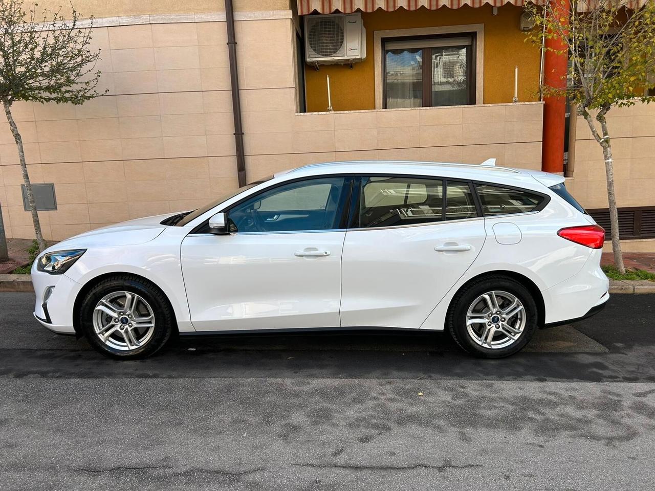 Ford Focus 1.5 EcoBlue 120 CV SW 12/2019